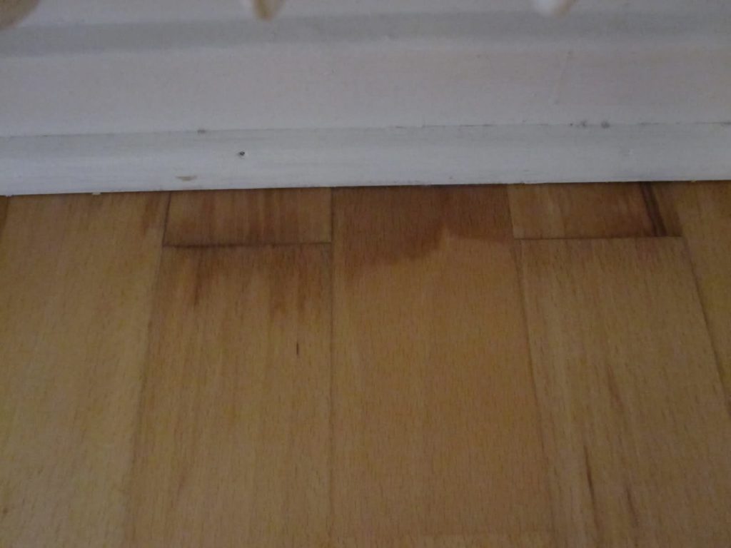 Top 6 yếu tố để có một sàn gỗ đẹp như ý 4 sàn gỗ đẹp bị thấm nước