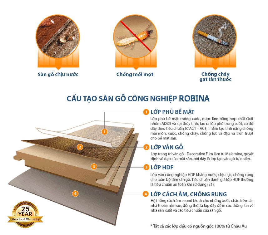 Cấu tạo sàn gỗ Robina 12mm