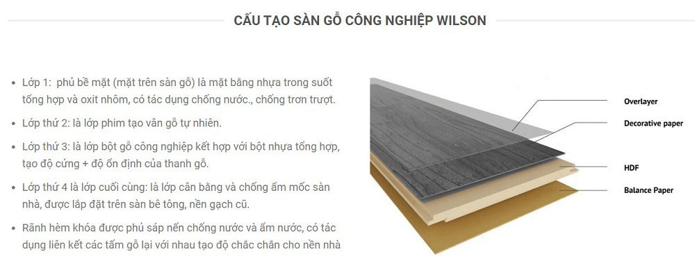 Cấu tạo sàn gỗ Wilson Việt Nam