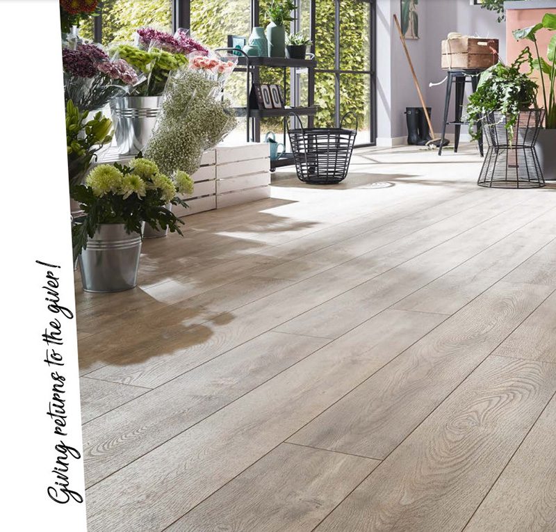 san go kronotex mammut