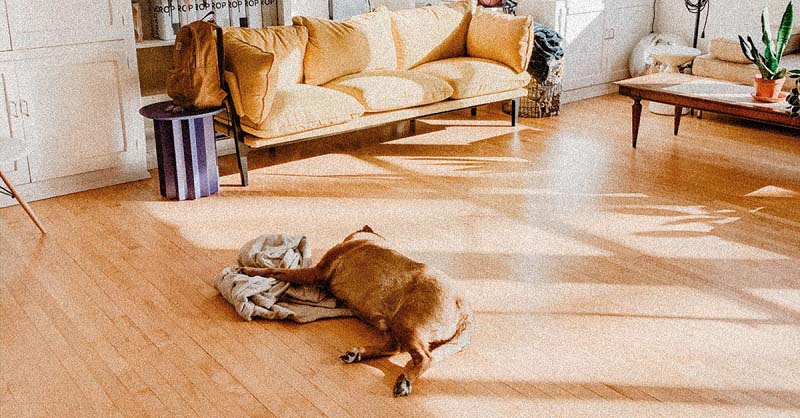 Tiêu Chuẩn Khí Thải Sàn Gỗ Công Nghiệp Là Gì? 16 san go an toan cho suc khoe